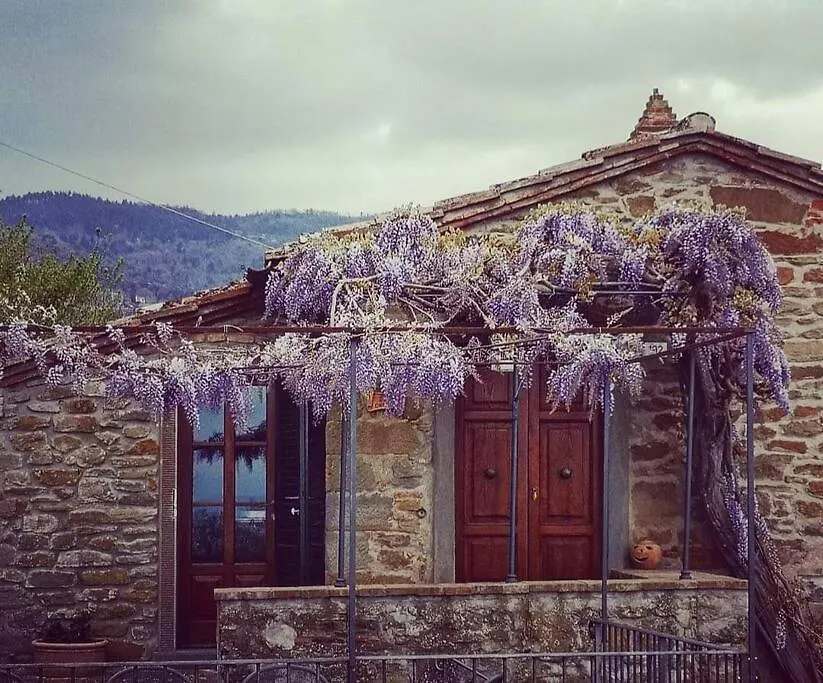 Villa Casale Della Torre 코르토나 0*,
